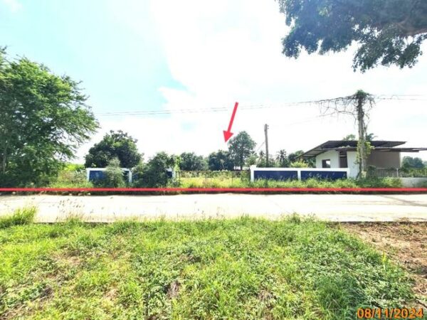 02 Single House _photo