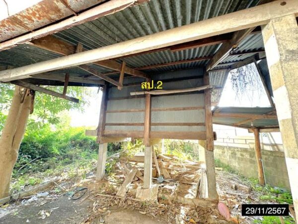 02 Single House _photo