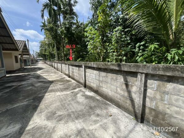 02 Single House _photo