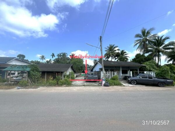02 Single House _photo