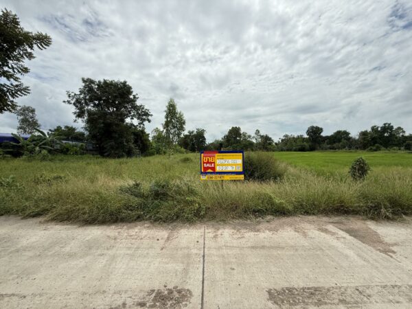 Empty land _photo