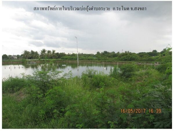 Empty land _photo