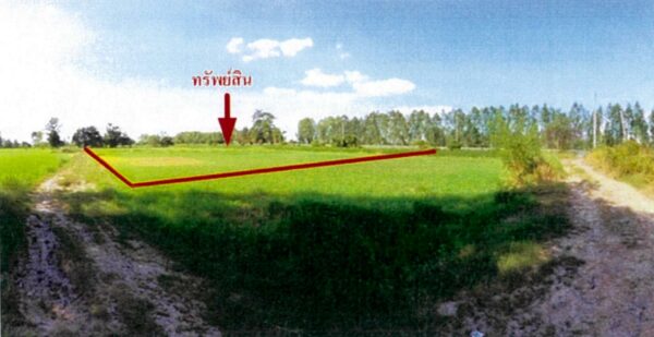 Empty land _photo