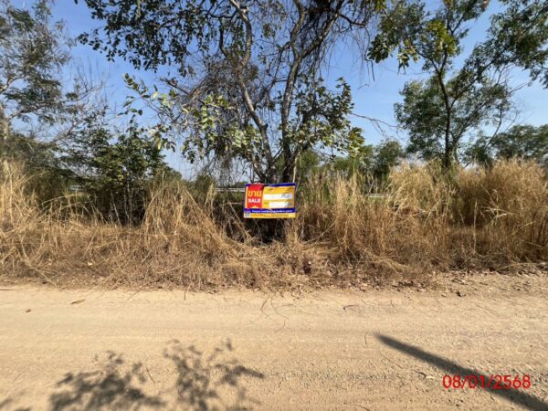 Empty land _photo