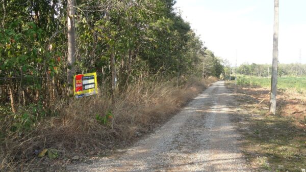Empty land _photo