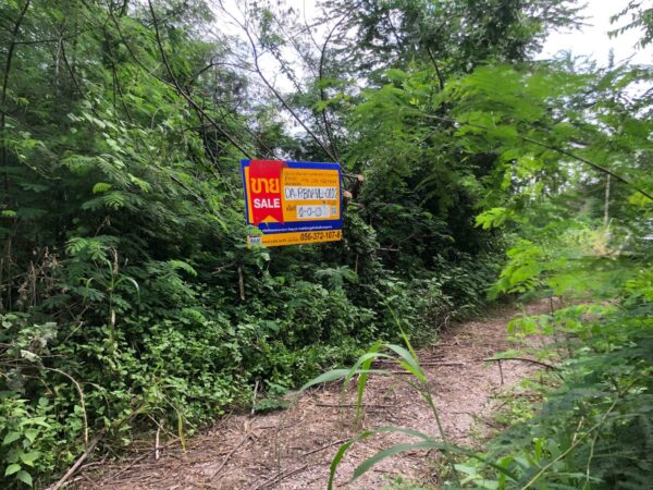 Empty land _photo