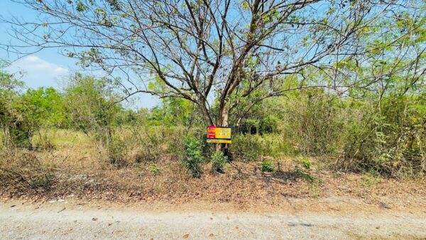 Empty land _photo