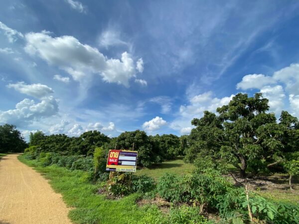 Empty land _photo