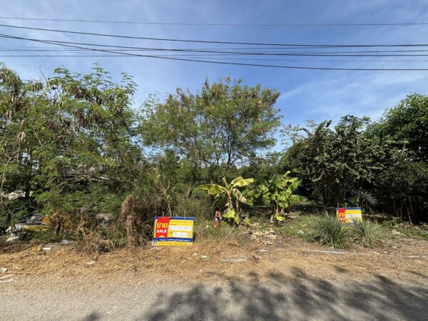 Empty land _photo