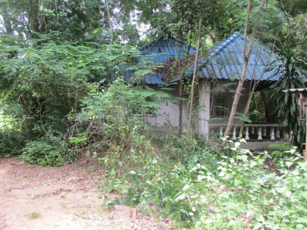 Single house, Yasothon _photo