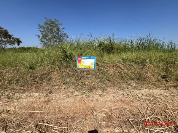 Empty land _photo