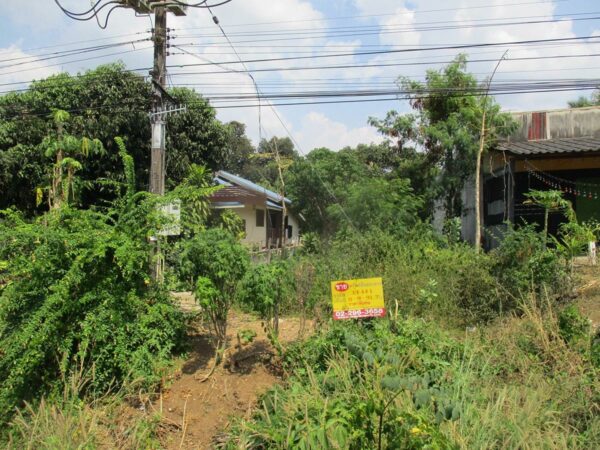 Vacant land, Sa Kaeo _photo