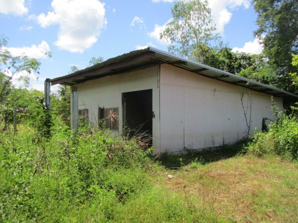 Detached house, Ubon Ratchathani _photo