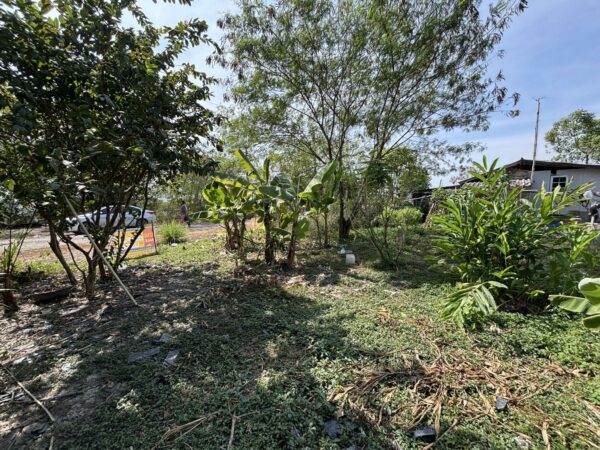 Empty land _photo