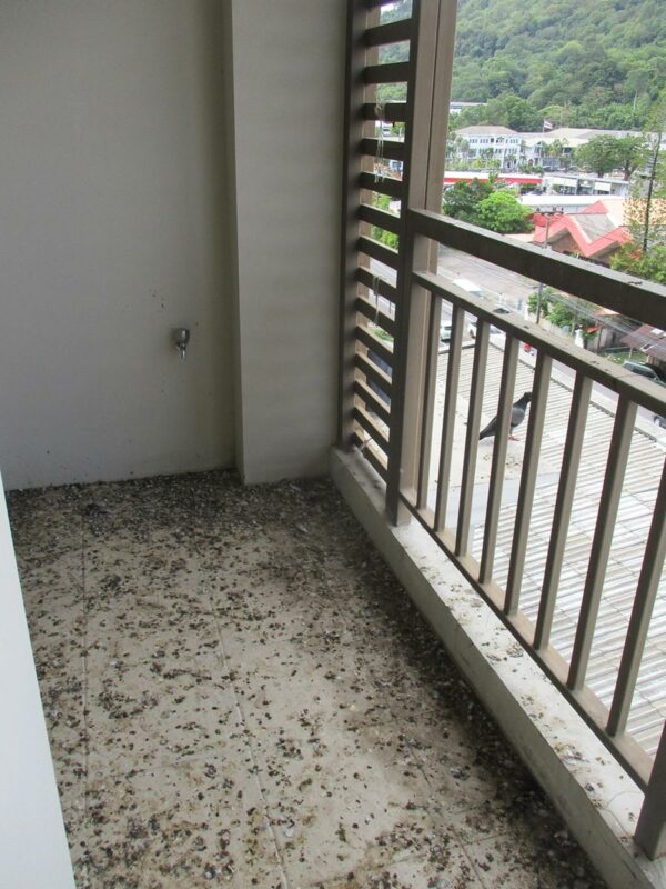 Phuket Condominium Avenue Condominium _photo