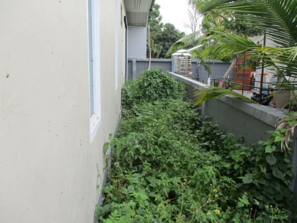 Single house, Surat Thani _photo