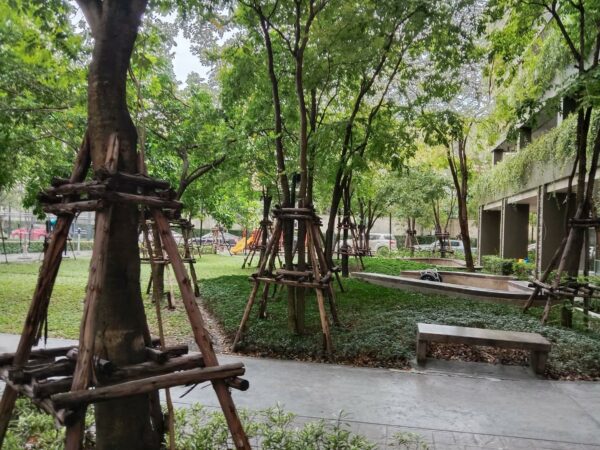 Residential apartment _photo