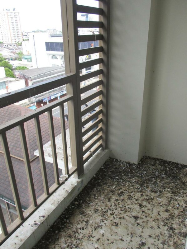 Phuket Condominium Avenue Condominium _photo