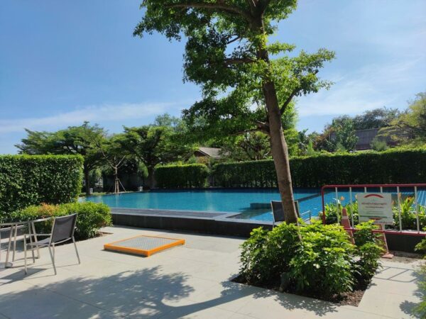 Residential apartment _photo