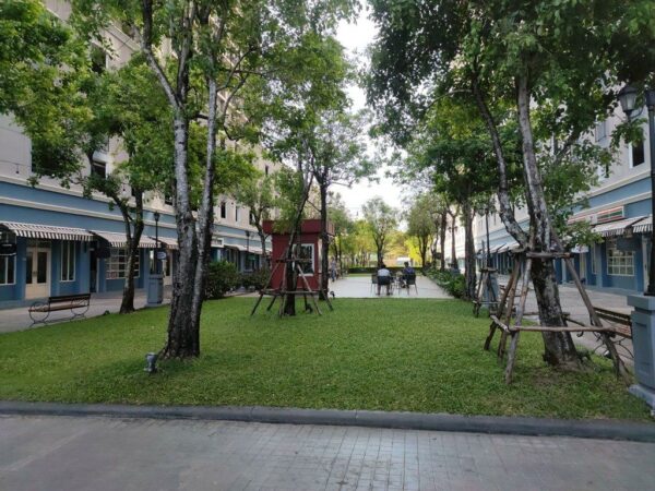 Residential apartment _photo