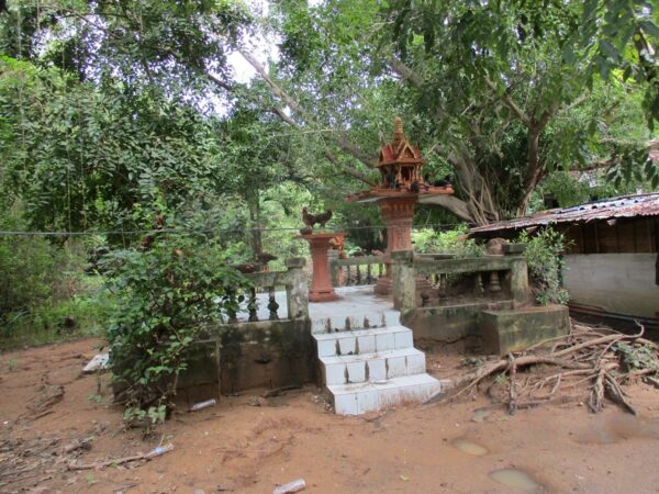 Bualuang Project 1 _photo