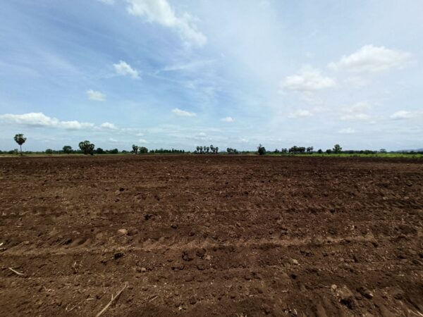 Empty land _photo
