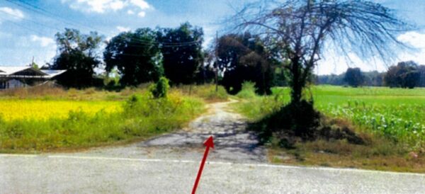 Empty land _photo