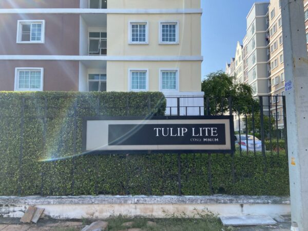 Residential apartment _photo