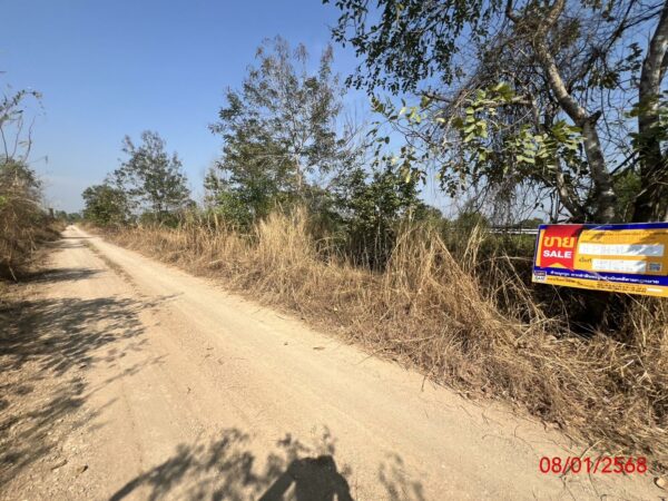 Empty land _photo