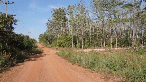 Empty land _photo