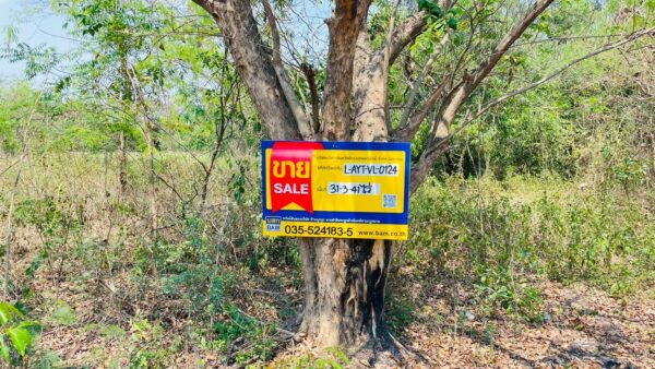 Empty land _photo