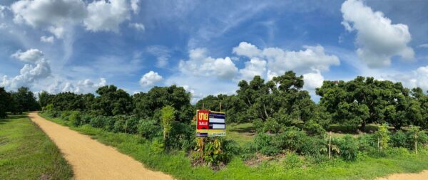 Empty land _photo