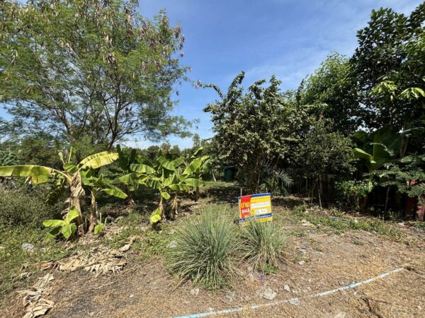 Empty land _photo