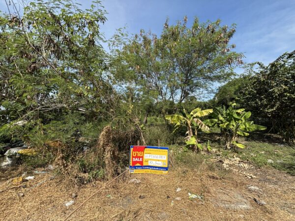 Empty land _photo