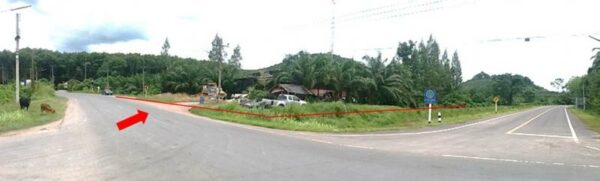 other _photo