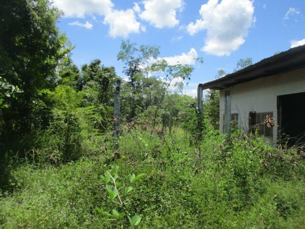 Detached house, Ubon Ratchathani _photo