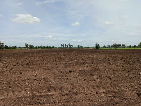 Empty land _photo