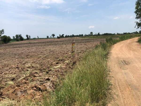 Empty land _photo