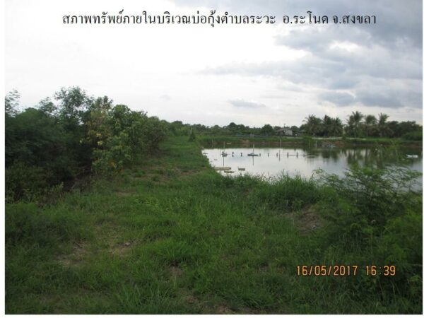 Empty land _photo
