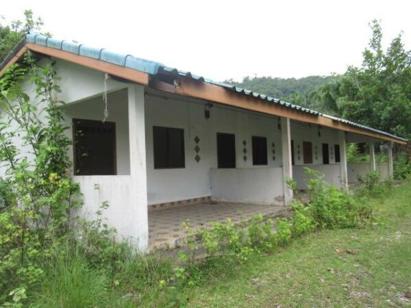 Commercial building _photo