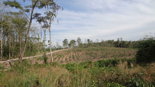 Empty land _photo