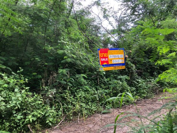 Empty land _photo