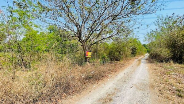 Empty land _photo