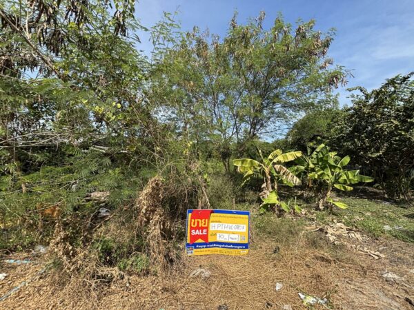 Empty land _photo