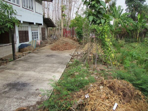 Detached house, Phrae _photo