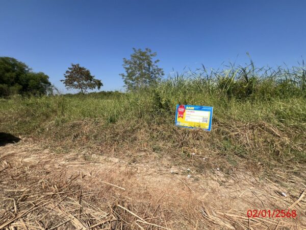 Empty land _photo