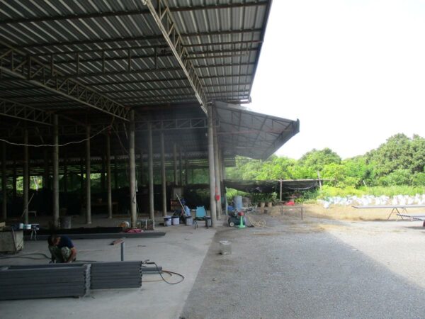 Covering building, Lamphun _photo