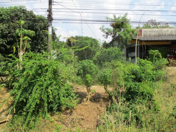 Vacant land, Sa Kaeo _photo