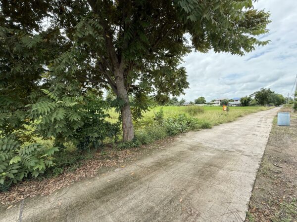 Empty land _photo