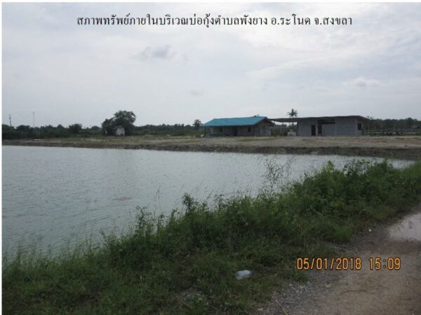 Empty land _photo